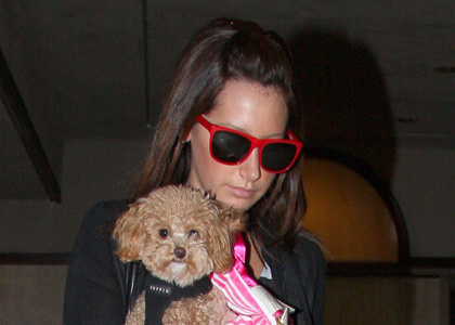 Ashley Tisdale: Dog Day in San Diego