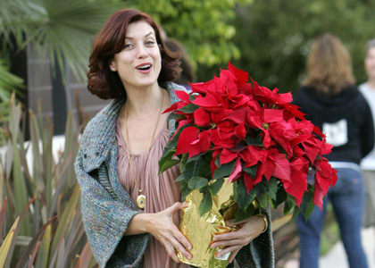 Kate Walsh: Holiday Hottie