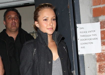 Hayden Panettiere Steps Out for Obama