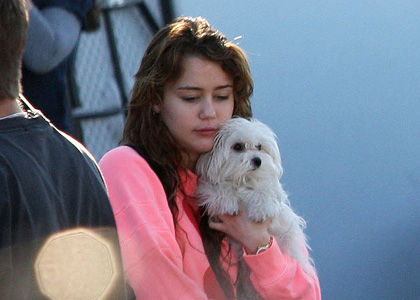 Miley Cyrus: Pooch Play on the Set