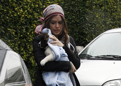 Rachel Bilson's Furry Friend