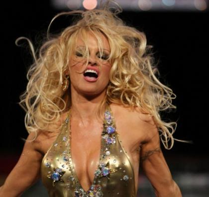 Pamela Anderson needs to call it quits
