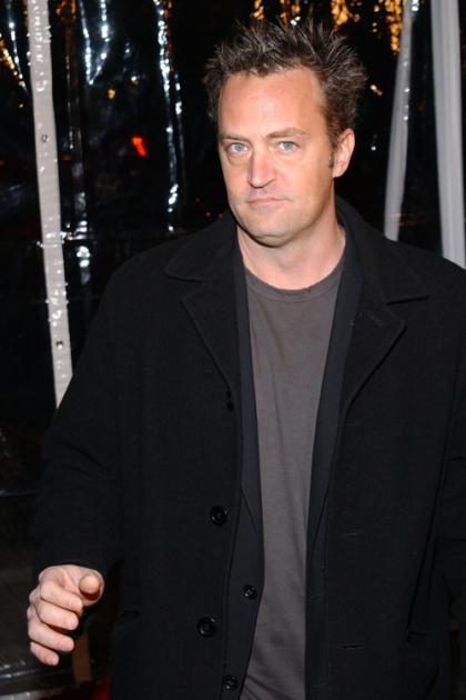 Matthew Perry loves 'Lost?, wants to be cast on it