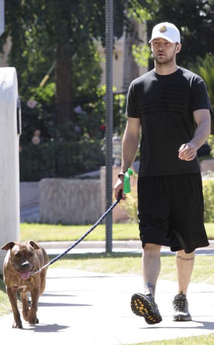 Justin Timberlake: Doggy Duty