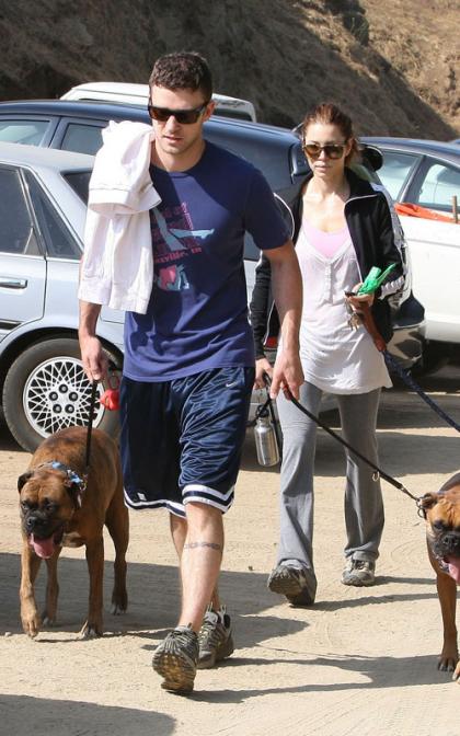 Justin Timberlake and Jessica Biel: Puppy Pals