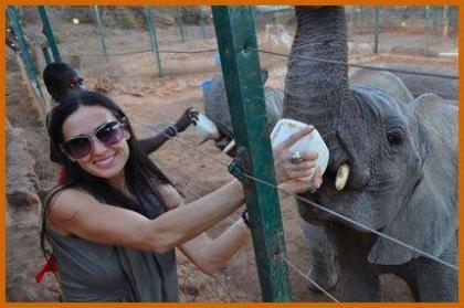 Demi Moore and Ashton Kutcher Feed The Elephants
