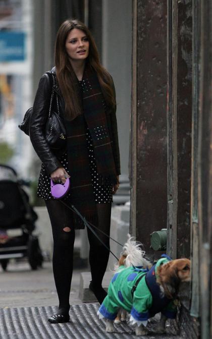 Mischa Barton: Costume Shopping for the Pups