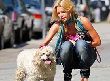 Sophie Monk's Puppies Exposed!