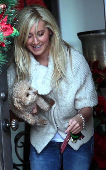 Ashley Tisdale: Pooch Pick-Up