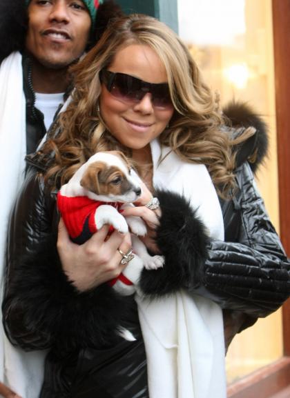 Mariah Carey is grandmother to a Jack Russell puppy