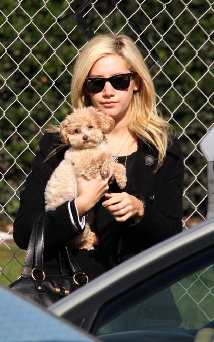 Ashley Tisdale's Puppy Love