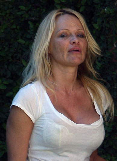 Pamela Anderson Has Seen Better Days
