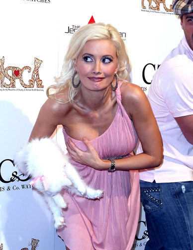 Holly Madison Flashes Her Kitty