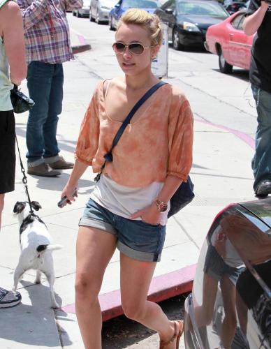 Hayden Panettiere Takes Her Giant For A Walk