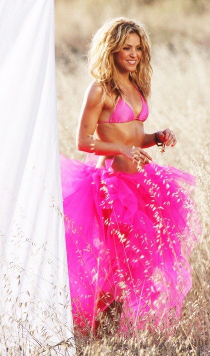 Shakira's hot pink bikini top  tutu: amazing or silly'