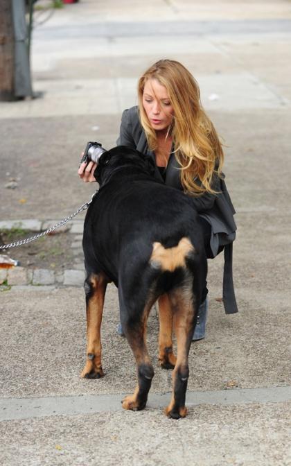 Blake Lively Turns Pup Photographer