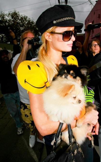 Paris Hilton: Halloween Shopping in West Hollywood