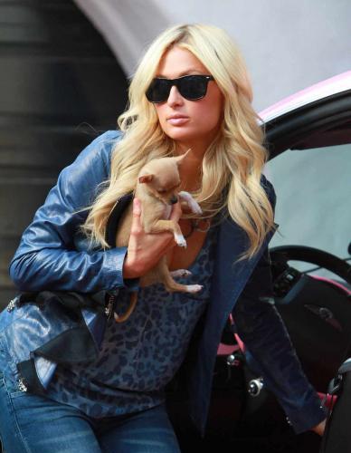 Paris Hilton Shows Us Her Puppies