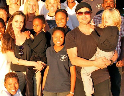 Angelina Jolie & Brad Pitt donate $2 million to animal sanctuary