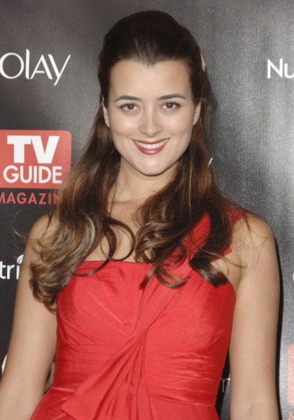 NCIS's Cote de Pablo is an old-soul hippie in real life