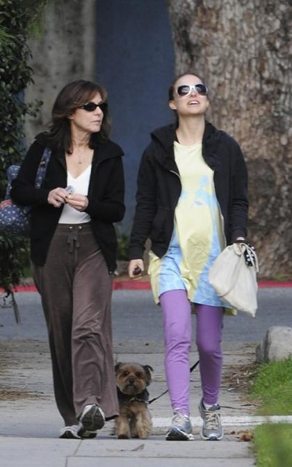 Pregnant Natalie Portman's Dog Day Afternoon