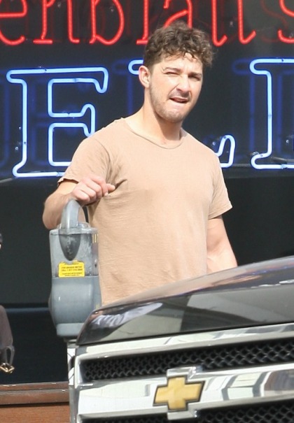 Shia LaBeouf Looks for Bar Fights