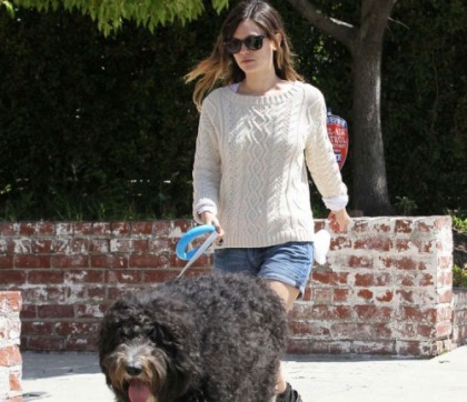 Rachel Bilson Is Walking Her Dog