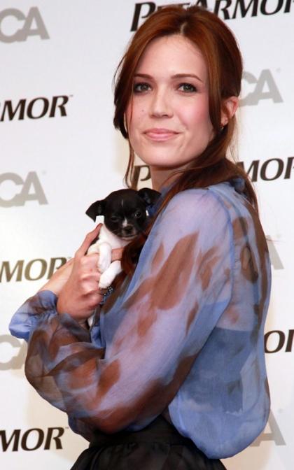Mandy Moore Steps Out for Pet Healthcare Awareness