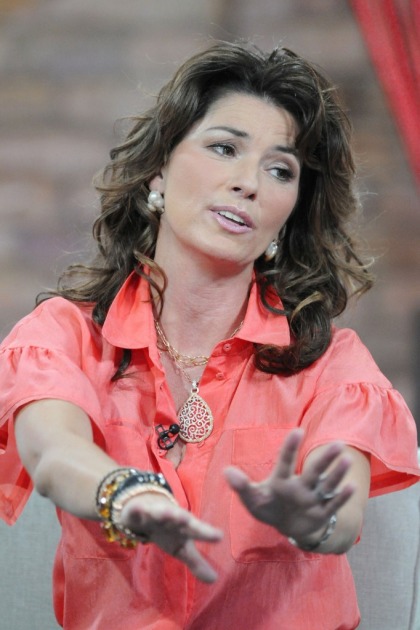 Shania Twain: 'another woman's lust for a lifestyle upgrade devastated my family'