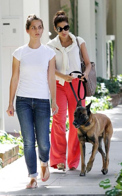 Eva Mendes' Cute Canine!