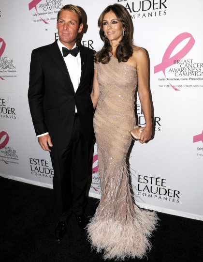 Liz Hurley in pink Blumarine, with cat-faced Shane Warne: tragic or hilarious?