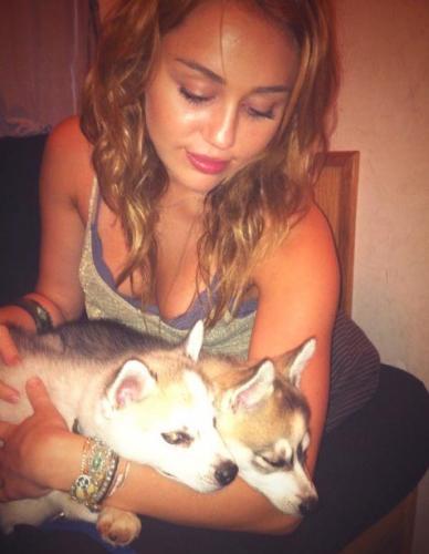 Miley Cyrus Reveals Her Puppies