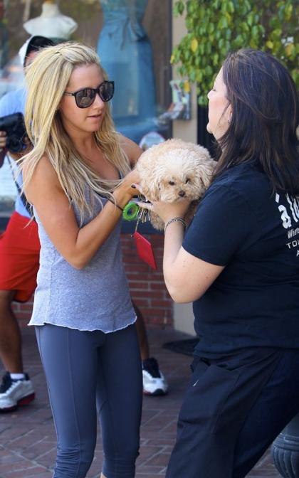 Ashley Tisdale's Pooch Pampering