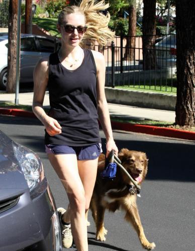 Amanda Seyfried Takes Her Puppies Out