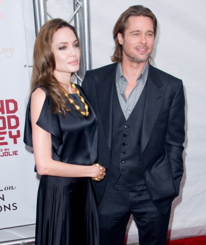 Angelina Jolie is 'determined' to have more babies in 2012