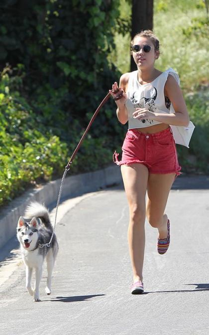 Miley Cyrus' Weekend Pup Run
