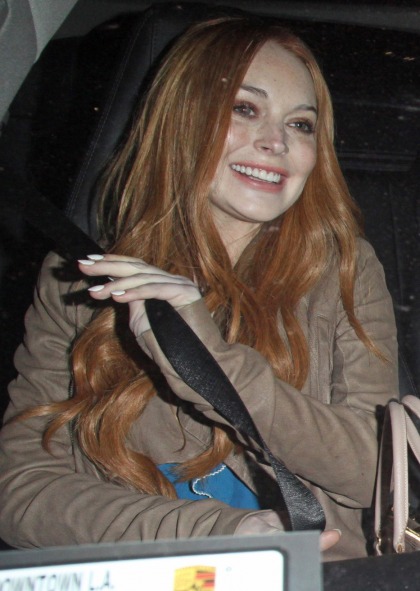 Lindsay Lohan is putting herself on crack-lockdown, will countersue her victim