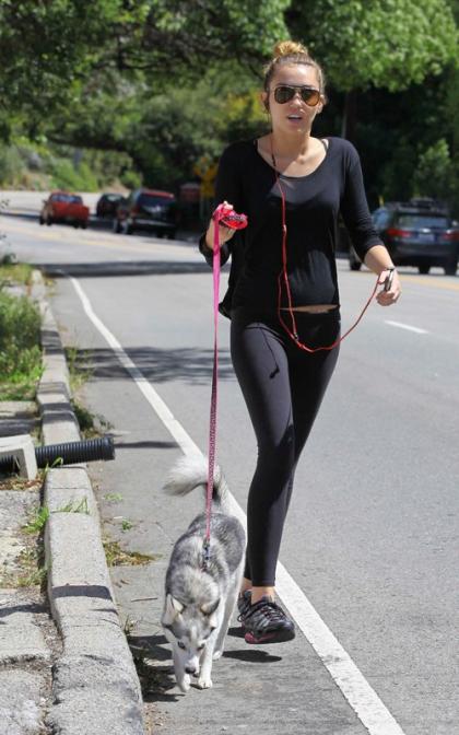 Miley Cyrus & Liam Hemsworth: Dog Walking Duo