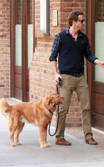 Ryan Reynolds & Pup: NYC Weekend Walkers