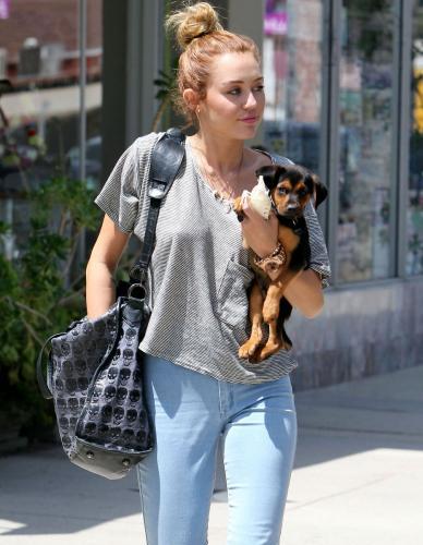 Miley Cyrus Shows Off Her Puppies