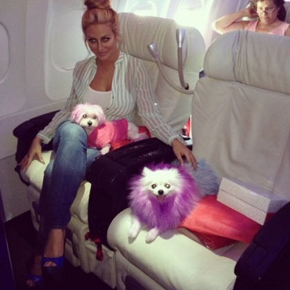 Aubrey O?Day Flies With Emotional Support Dogs