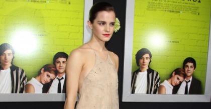 Emma Watson Knows the Perks of Being a Wallflower