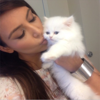 Kim Kardashian keeps   posting photos of her cat Mercy looking miserable
