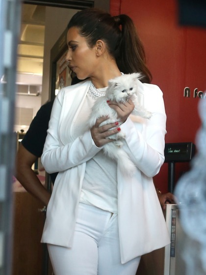 Kim Kardashian coordinates all-white outfit with her poor, dirty kitty Mercy