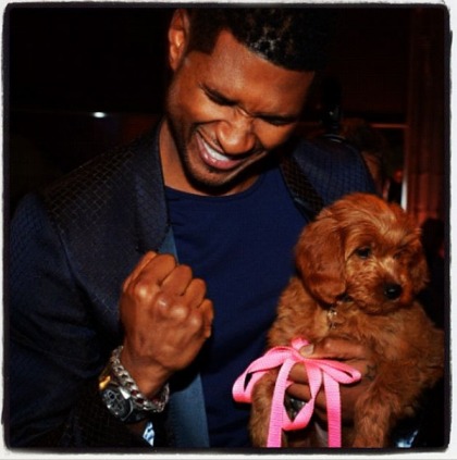 Usher paid $12,000 for a Goldendoodle puppy at a charity auction: ridiculous?