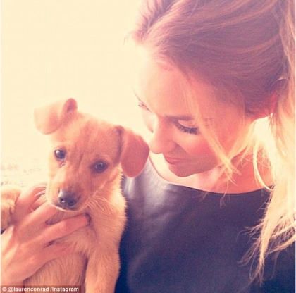Lauren Conrad tweets photos of her new shelter puppy Fitz: OMG, adorable!