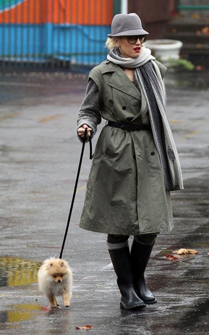 Gwen Stefani and Zuma: Rainy Day Heroes