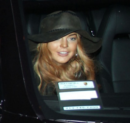 Lindsay Lohan claims she's 'too sick' for court but flies back to LA in panic anyway