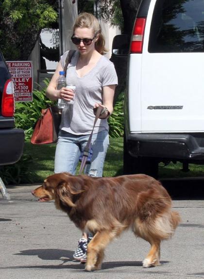 Amanda Seyfried's Sunny Walk with Finn