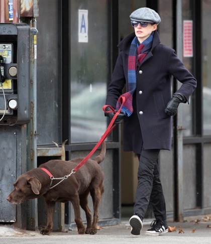 Anne Hathaway wants to dump her 'half-dead dog' for a glamorous new puppy'
